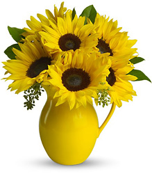 Teleflora's Sunny Day Pitcher of Sunflowers from Victor Mathis Florist in Louisville, KY